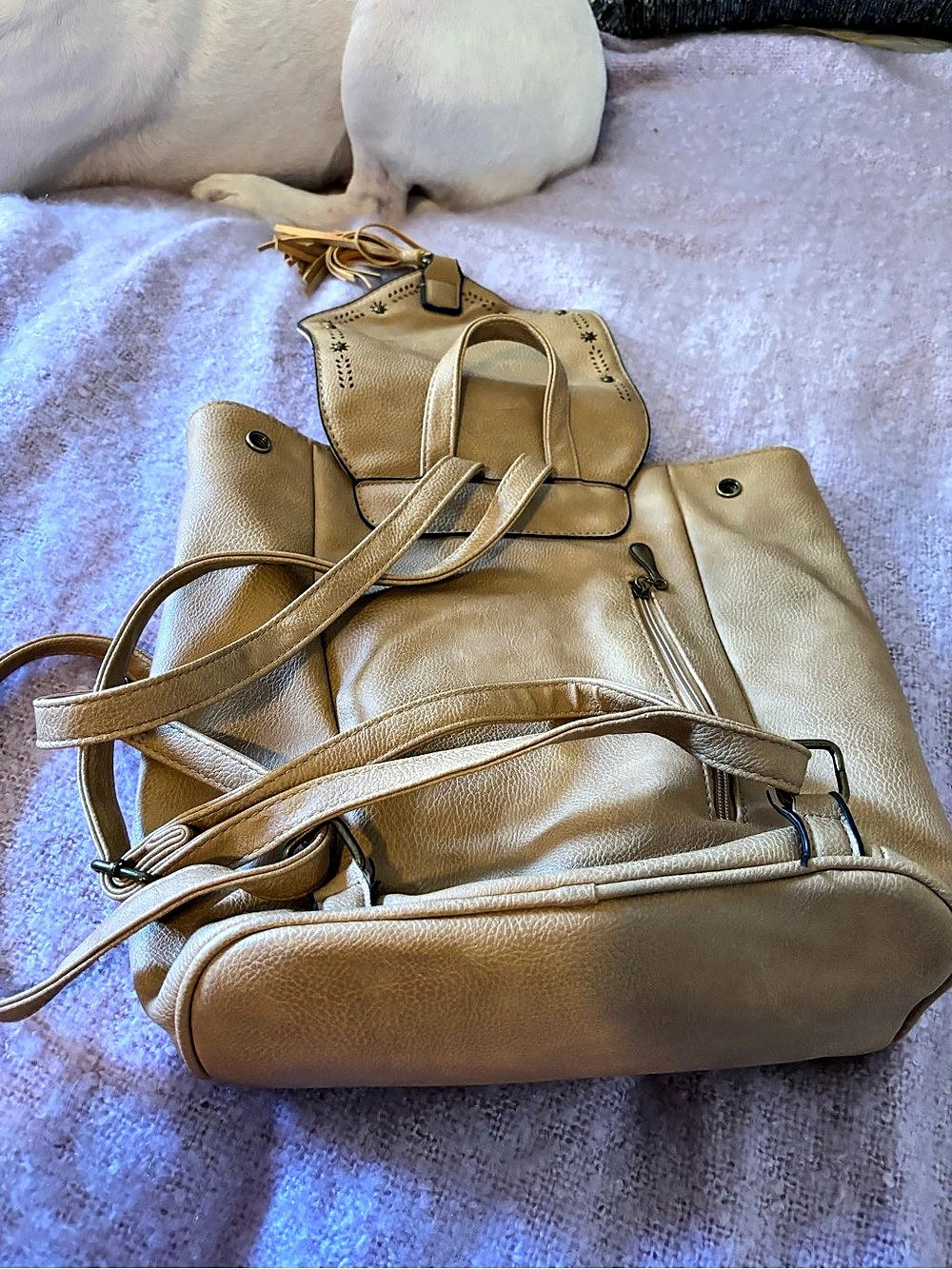 Bag bundle - Picture 7 of 16